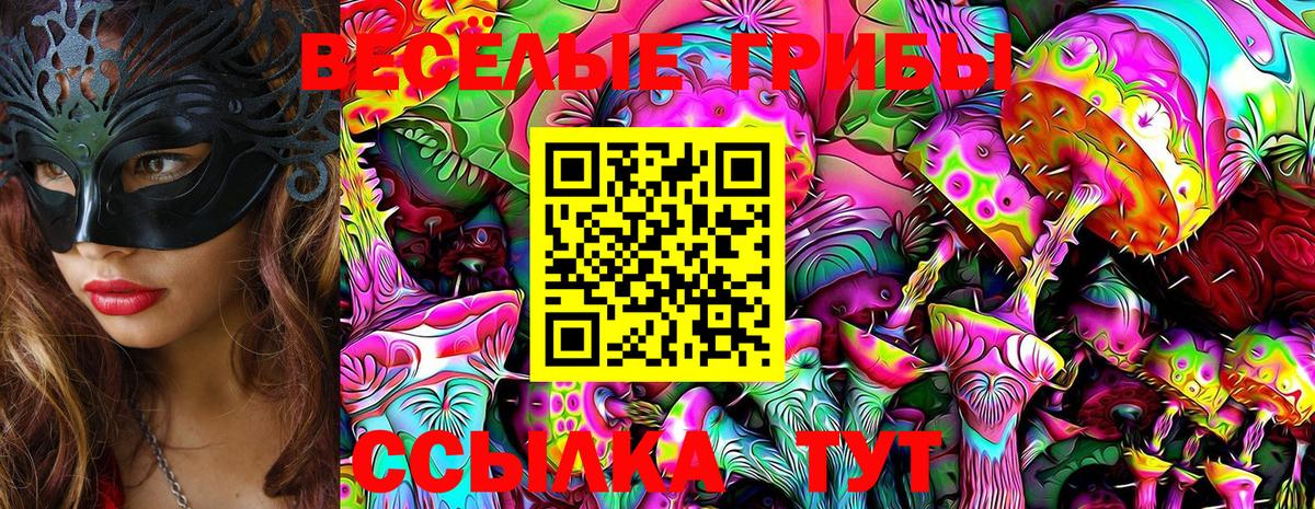 Псилоцибиновые грибы GOLDEN TEACHER  Вход с VPN  Сатка 